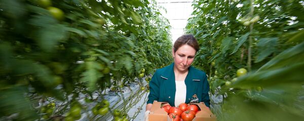 Армянские помидоры Армянские помидоры - Sputnik Արմենիա