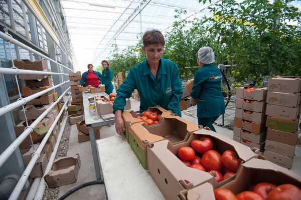 Армянские помидоры Армянские помидоры - Sputnik Արմենիա