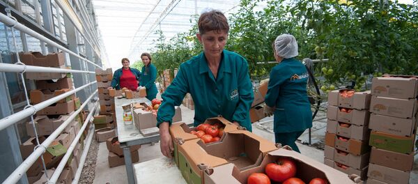 Армянские помидоры Армянские помидоры - Sputnik Армения