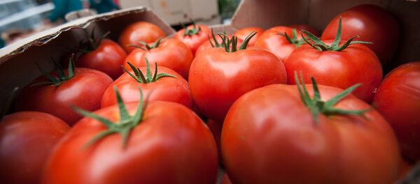 Армянские помидоры - Sputnik Армения