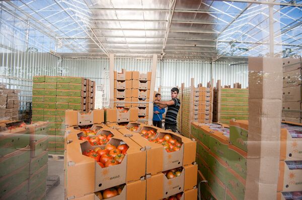 Армянские помидоры Армянские помидоры - Sputnik Արմենիա