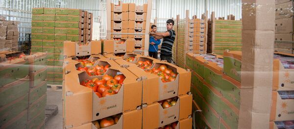 Армянские помидоры - Sputnik Армения