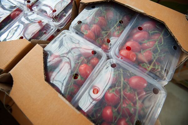 А им все равно: турецкие помидоры по-прежнему привозят на оптовые рынки Армении - Sputnik Армения