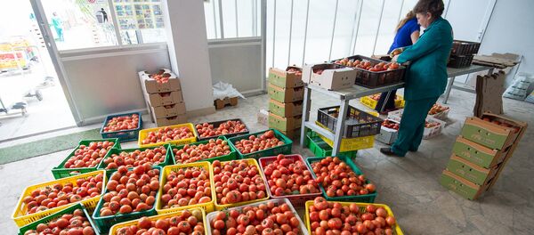 Армянские помидоры Армянские помидоры - Sputnik Արմենիա