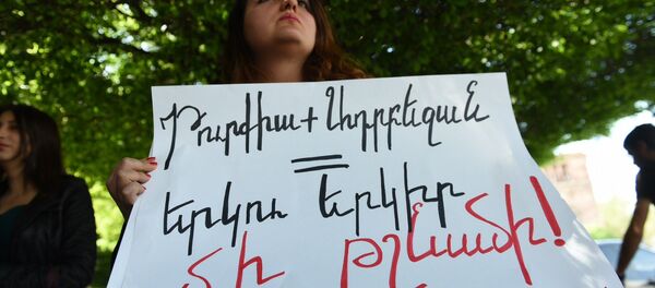 Акция протеста в Ереване против приобретения турецких товаров - Sputnik Армения