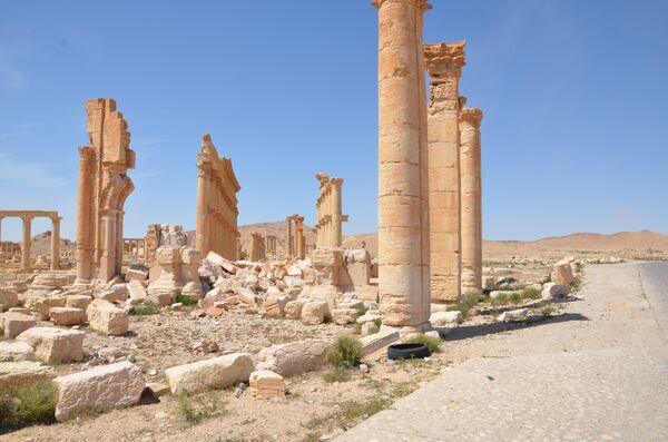 Пальмира, Сирия. Развалины величественных сооружений, принадлежащих к числу лучших образцов древнеримской архитектуры и признанных ЮНЕСКО памятником Всемирного наследия. Пальмира, Сирия. Развалины величественных сооружений, принадлежащих к числу лучших образцов древнеримской архитектуры и признанных ЮНЕСКО памятником Всемирного наследия. - Sputnik Армения