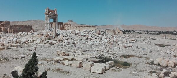 Пальмира, Сирия. Развалины величественных сооружений, принадлежащих к числу лучших образцов древнеримской архитектуры и признанных ЮНЕСКО памятником Всемирного наследия. - Sputnik Армения