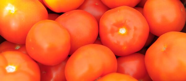 Выращивание овощей в теплицах - Sputnik Армения