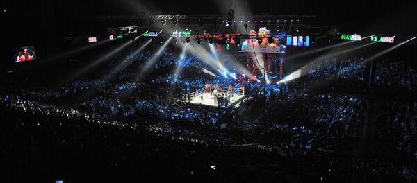 Смешанные единоборства. Архивное фото. - Sputnik Армения