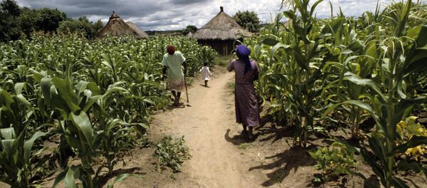 Африка  - Sputnik Армения