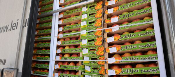 Уничтожение санкционной продукции - Sputnik Армения