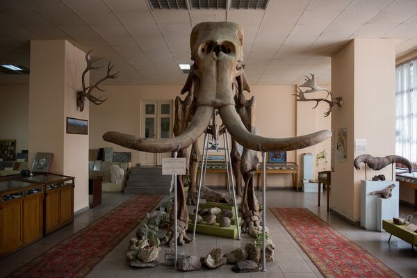 Геологический музей Армении Геологический музей Армении - Sputnik Արմենիա