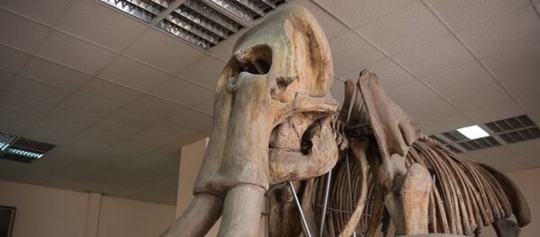 Геологический музей Армении Геологический музей Армении - Sputnik Արմենիա