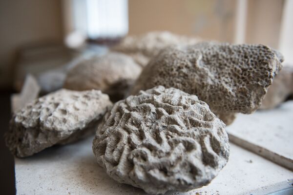 Геологический музей Армении Геологический музей Армении - Sputnik Արմենիա