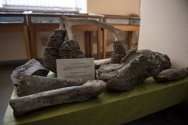 Геологический музей Армении Геологический музей Армении - Sputnik Արմենիա