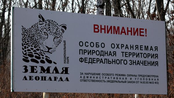 Национальный парк Земля леопарда в Приморском крае - Sputnik Армения