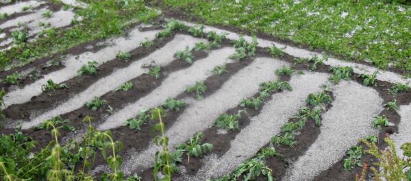 Град - Sputnik Армения