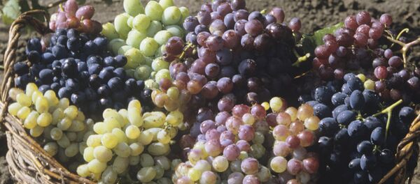 Корзина с виноградом Корзина с виноградом - Sputnik Армения