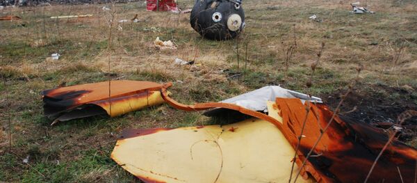 Место крушения малайзийского Boeing 777 Место крушения малайзийского Boeing 777 - Sputnik Армения