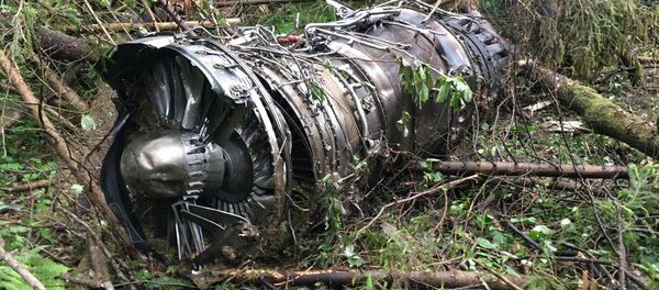 Крушение истребителя Су-27 в Подмосковье - Sputnik Армения