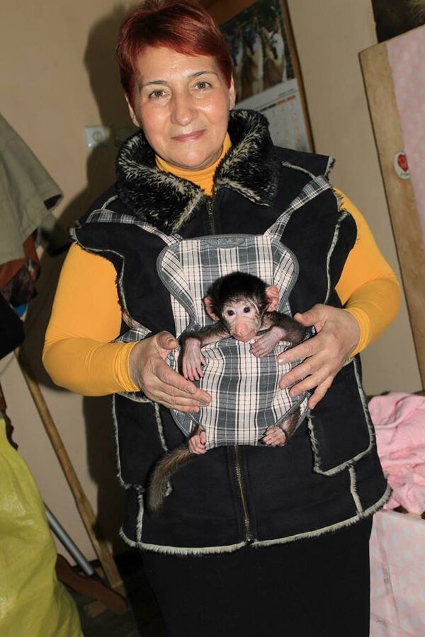 Гулико Читадзе, главная няня-смотрительница тбилисского зоопарка Гулико Читадзе, главная няня-смотрительница тбилисского зоопарка - Sputnik Армения