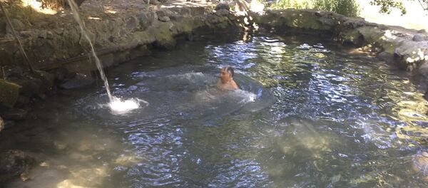 Հայ տղամարդիկ առողջ ապրելակերպ են քարոզում - Sputnik Արմենիա