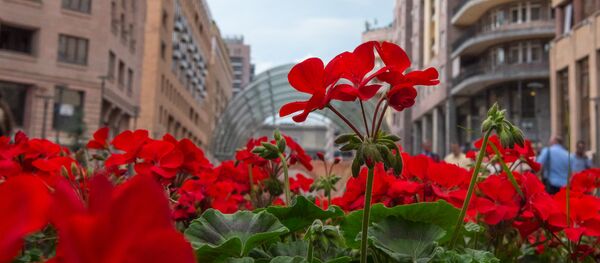 Северный проспект. Ереван - Sputnik Армения