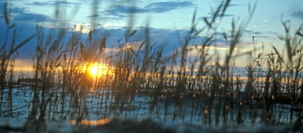 Озеро в Карелии Озеро в Карелии - Sputnik Արմենիա