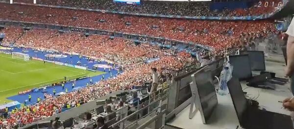 Победа Исландии и истерическая радость комментатора - Sputnik Армения