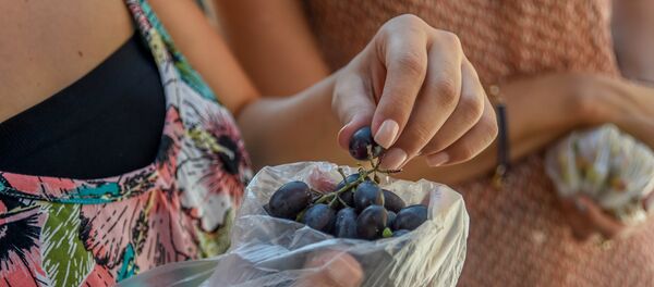 Чин освящения винограда - Sputnik Արմենիա