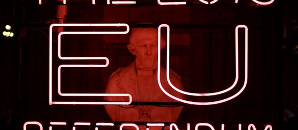 Референдум в Британии по сохранению членства в ЕС - Sputnik Армения