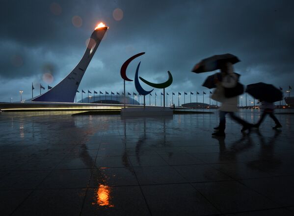 Болельщики у чаши Паралимпийского огня в Олимпийском парке в Сочи. - Sputnik Армения