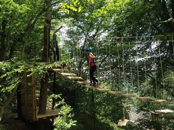 Rope Park (веревочный парк - это система подвесных платформ, связывающих деревья) Rope Park (веревочный парк - это система подвесных платформ, связывающих деревья) - Sputnik Արմենիա