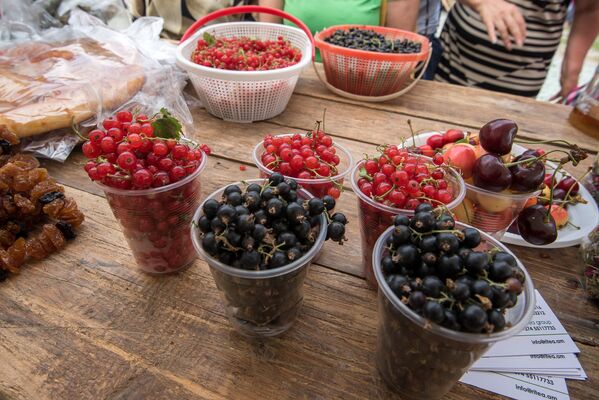 Местные фрукты и ягоды на фестивале HayBuis в Енокаване - Sputnik Армения