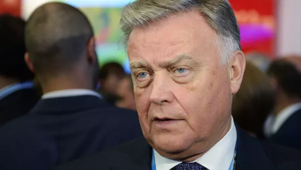 Петербургский международный экономический форум 2015 (ПМЭФ). День второй Петербургский международный экономический форум 2015 (ПМЭФ). День второй - Sputnik Армения