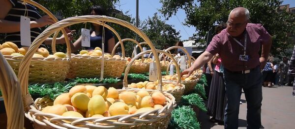 Церемония освящения абрикоса - Sputnik Армения