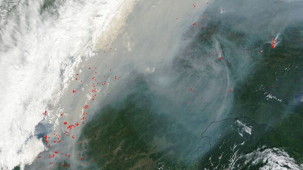 Спутниковый снимок лесных пожаров в Калифорнии - Sputnik Արմենիա
