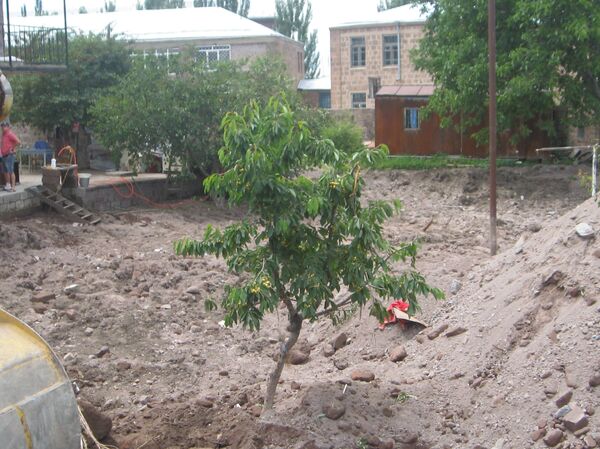 Новоднение в Артике Новоднение в Артике - Sputnik Արմենիա