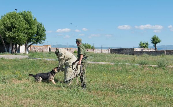 Собака атакует предполагаемого нарушителя на армяно-турецкой границе - Sputnik Армения