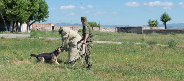 Собака атакует предполагаемого нарушителя на армяно-турецкой границе Собака атакует предполагаемого нарушителя на армяно-турецкой границе - Sputnik Армения