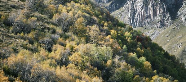 Горы Большого Кавказа - Sputnik Армения