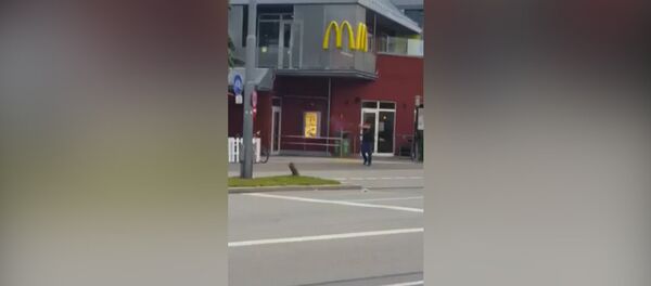 СПУТНИК_Момент стрельбы у ТЦ в Мюнхене и первые минуты после инцидента СПУТНИК_Момент стрельбы у ТЦ в Мюнхене и первые минуты после инцидента - Sputnik Армения