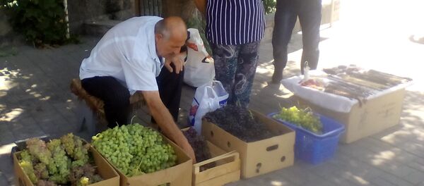 праздник освящения винограда в Армении - Sputnik Արմենիա