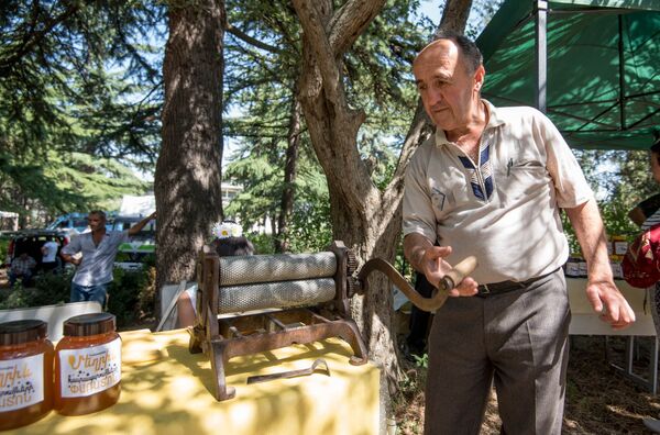 Фестиваль меда и ягод в Шамшадине, Армения Фестиваль меда и ягод в Шамшадине, Армения - Sputnik Արմենիա