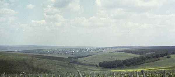 Виноградники Молдавии Виноградники Молдавии - Sputnik Արմենիա