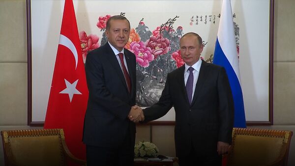 Спутник_Путин пошутил про главу разведки Турции во время встречи с Эрдоганом - Sputnik Армения