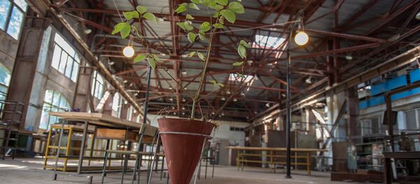 Դիլիջանի արվեստների դիտարան - Sputnik Армения