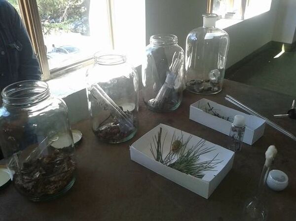 Դիլիջանի արվեստների դիտարանում Դիլիջանի արվեստների դիտարանում - Sputnik Արմենիա