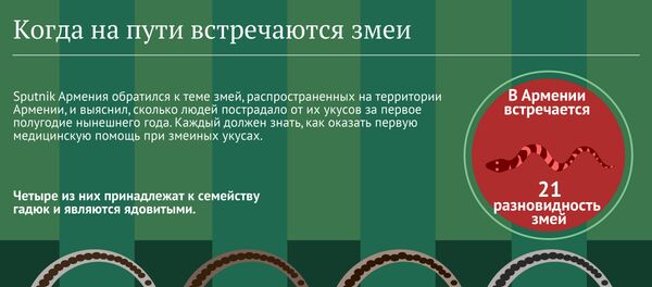 Когда на пути встречаются змеи - Sputnik Армения
