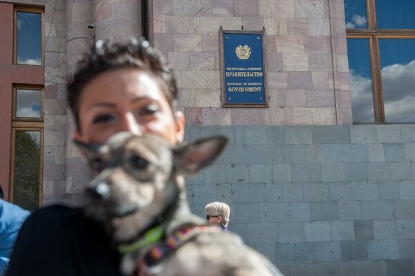 Асмик Хачатрян. Акция правозащитников животных у правительства РА с требованием решения проблемы бездомных собак Асмик Хачатрян. Акция правозащитников животных у правительства РА с требованием решения проблемы бездомных собак - Sputnik Армения